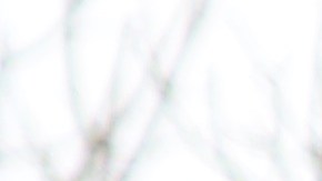 Estudiantes de Synergy Quantum Academy HS en el sur de L.A. piden el regreso de su maestro de historia.