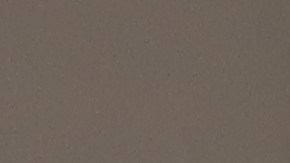 Trabajadores protestan contra la presencia del ICE en los Universal Studios.