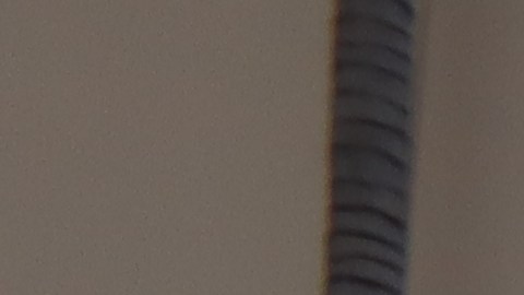 Trabajadores protestan contra la presencia del ICE en los Universal Studios.