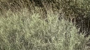 El ADX Advance A-Spec te ofrece una experiencia lujosa.