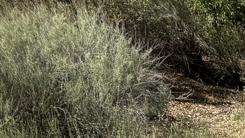 El ADX Advance A-Spec te ofrece una experiencia lujosa.