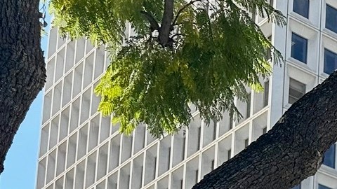 Estudiantes de secundaria al terminar la marcha cuyo mensaje era "Fuera el ICE".