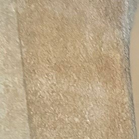 Cientos llegan a entrenarse para defender a la comunidad del ICE.