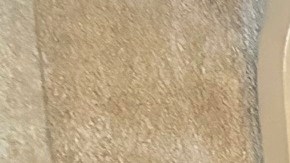 Cientos llegan a entrenarse para defender a la comunidad del ICE.