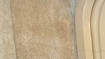 Cientos llegan a entrenarse para defender a la comunidad del ICE.