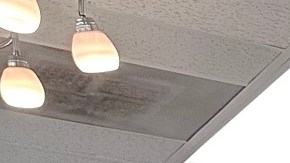 María Teresa Villarreal anuncia visas de estudiantes en su aniversario número 10 de su escuela de belleza Cosmética.