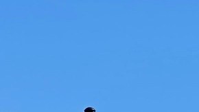 Jugadores de fútbol piden que no los saquen del Rio de Los Angeles State Park.