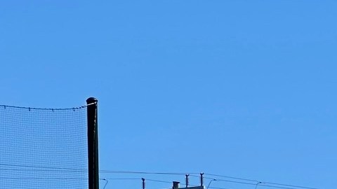 Jugadores de fútbol piden que no los saquen del Rio de Los Angeles State Park.