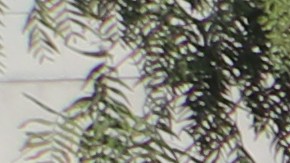 Actualmente 31,000 trabajadores de Kaiser Permanente llevan casi tres semanas de huelga en LA.