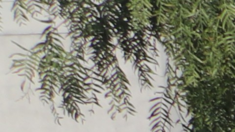 Actualmente 31,000 trabajadores de Kaiser Permanente llevan casi tres semanas de huelga en LA.