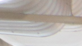 El descontento de la gente ha crecido, incluso, al interior de la tienda Target, por parte del personal.