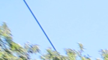 Centenares de estudiantes volvieron a salir a las calles para protestar contra la política migratoria de Trump.