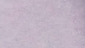 IRS Nuevo Comienzo para impuestos adeudados