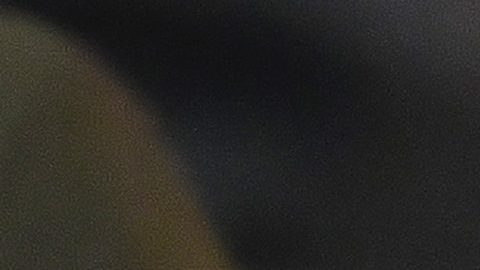 Zapopan, Jalisco, 28 de mayo de 2023. , durante el partido de vuelta del torneo Clausura 2023 de la Liga BBVA MX, entre las Chivas Rayadas del Guadalajara y los Tigres de la UANL, celebrado en el estadio Akron. Foto: Imago7/Sebastian Laureano Miranda