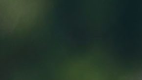 Carson, California, Estados Unidos, 30 de junio de 2024. André Jardiné, director técnico y Henry Martín, durante una conferencia de prensa de los Tigres de la UANL previo al partido por la Supercopa 2024 de la Liga BBVA MX, celebrado en el Dignity Health Sports Park. Foto: Imago7/ Eloísa Sánchez