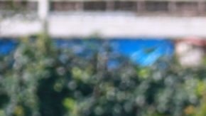 Ciudad de México, 13 de julio de 2024. Lázaro Rodrigues y Diego Rocío, durante el partido de la jornada 3 del Torneo Internacional de Fuerzas Básicas 2024 de la Liga BBVA MX, entre la Selección Nacional de México Sub18 y el Palmeiras, celebrado en el Centro de Alto Rendimiento de la FMF. Foto: Imago7/Manlio Contreras