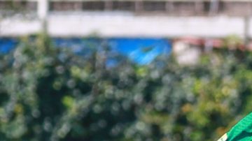 Ciudad de México, 13 de julio de 2024. Lázaro Rodrigues y Diego Rocío, durante el partido de la jornada 3 del Torneo Internacional de Fuerzas Básicas 2024 de la Liga BBVA MX, entre la Selección Nacional de México Sub18 y el Palmeiras, celebrado en el Centro de Alto Rendimiento de la FMF. Foto: Imago7/Manlio Contreras