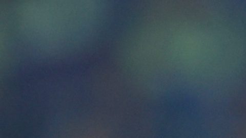 San Nicolás de los Garza, Nuevo León, 19 de abril de 2025. Nicolás Ibañez en lamento, durante el partido correspondiente a la jornada 17 del torneo Clausura 2025 de la Liga BBVA MX, entre los Tigres de la UANL y los Pumas de la UNAM, realizado en el estadio Universitario. Foto: Imago7/David Arzamendi