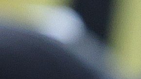 Herrera ha sido postulado como el sucesor de Jardine.