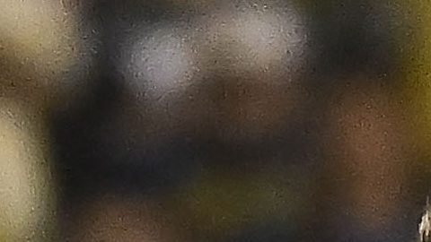 Armando González es la principal carta ofensiva de las Chivas.