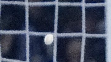 San Luis Potosí, San Luis Potosí, 24 de septiembre de 2025. , durante el partido correspondiente a la jornada 10 del torneo Apertura 2025 de la Liga BBVA MX, entre el Atlético San Luis y las Águilas del América, realizado en el estadio Alfonso Lastras. Foto: Imago7/ Sebastián Laureano Miranda