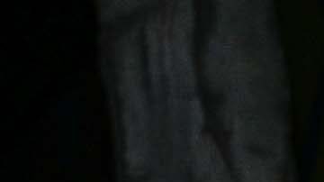 Ciudad de México, 1 de noviembre de 2025. , durante el partido correspondiente a la jornada 16 del torneo Apertura 2025 de la Liga BBVA MX, entre las Águilas del América y los Esmeraldas del León, realizado en el estadio Ciudad de los Deportes. Foto: Imago7/ Alexis Chávez