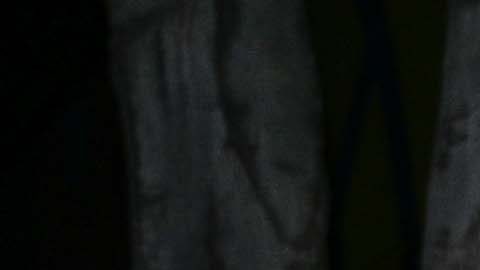 Ciudad de México, 1 de noviembre de 2025. , durante el partido correspondiente a la jornada 16 del torneo Apertura 2025 de la Liga BBVA MX, entre las Águilas del América y los Esmeraldas del León, realizado en el estadio Ciudad de los Deportes. Foto: Imago7/ Alexis Chávez