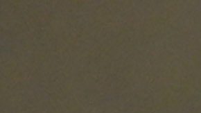 San Nicolás de los Garza, Nuevo León, 29 de noviembre de 2025. , durante el partido correspondiente a la vuelta de los Cuartos de Final del torneo Apertura 2025 de la Liga BBVA MX, entre los Tigres de la UANL y los Xolos de TIjuana, realizado en el estadio Universitario. Foto: Imago7/ Andrea Jiménez