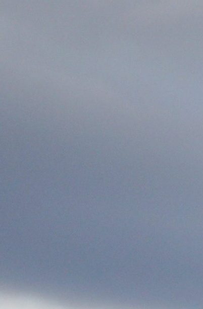 Querétaro, Querétaro, 14 de enero de 2026. , durante el partido correspondiente a la jornada 2 del torneo Clausura 2026 de la Liga BBVA MX, entre los Gallos Blancos del Querétaro y los Xolos de Tijuana, realizado en el estadio La Corregidora. Foto: Imago7/ Duilio Muñoz