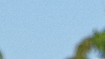 El seleccionado mexicano Germán Berterame ya debubtó con el Inter Miami.