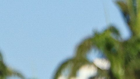 El seleccionado mexicano Germán Berterame ya debubtó con el Inter Miami.