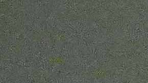 Fidalgo jugó más de 200 partidos con el América.