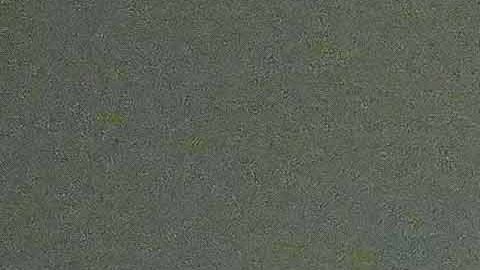 Fidalgo jugó más de 200 partidos con el América.