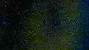 Ciudad de México, 7 de febrero de 2026. Alejandro Zendejas resultó lesionado , durante el partido correspondiente a la jornada 5 del torneo Clausura 2026 de la Liga BBVA MX, entre las Águilas del América y los Rayados del Monterrey, realizado en el estadio Ciudad de los Deportes. Foto: Imago7/ Diego Padilla