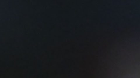 Ciudad de México, 10 de febrero de 2026. Pablo Sisniega, durante el partido de vuelta de la primera ronda de la Champions Cup de la CONCACAF 2026, entre los Pumas de la UNAM y el San Diego FC, realizado en el estadio Olímpico Universitario. Foto: Imago7/Etzel Espinosa