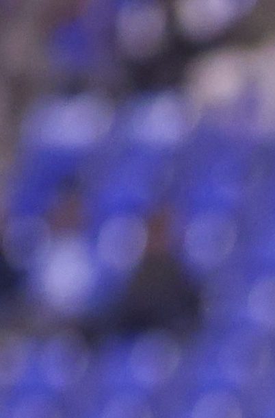 Puebla, Puebla, 12 de febrero de 2026. Nicolás Ibáñez (I), durante el partido de vuelta de la primera ronda de la Champions Cup de la CONCACAF 2026, entre la Máquina Celeste del Cruz Azul y el Vancouver FC, realizado en el estadio Cuauhtémoc. Foto: Imago7/ Diego Alducin