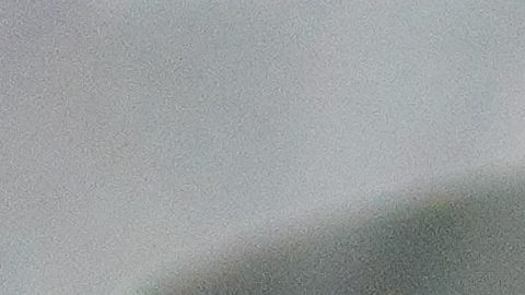 Gabriel Milito ha dirigido 28 partidos en las Chivas.