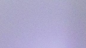 Morales pide a Miguel Herrera en reemplazo de Jardine.