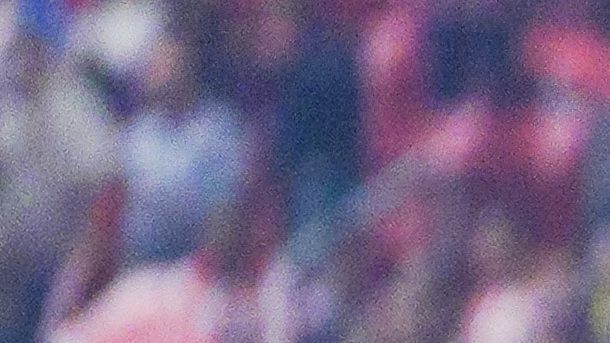 Las Chivas vienen de vencer al América en la última jornada.