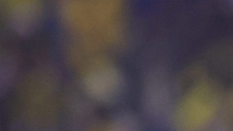 Puebla, Puebla, 20 de febrero de 2026. Isaías Violante en festejo de gol, durante el partido correspondiente a la jornada 7 del torneo Clausura 2026 de la Liga BBVA MX, entre el Club Puebla y las Águilas del América, realizado en el estadio Cuauhtémoc. Foto: Imago7/ Diego Alducin