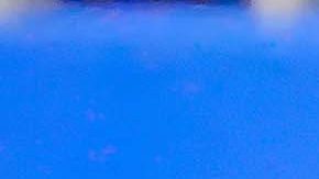 "Hormiga" Gonzáles, figura de Chivas, terminó en el césped lamentando la derrota.