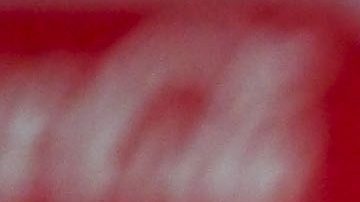 Javier Aguirre, seleccionador de México.