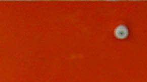 Ciudad de México, 3 de mayo de 2015. durante el partido correspondiente a la jornada 16 del Torneo Clausura 2015 de la Liga Bancomer MX, entre los Pumas de la UNAM y la Maquina del Cruz Azul celebrado en el estadio Olímpico Foto: Imago7/Hugo Ávila