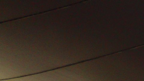 El Estadio Akron, en Zapopan, Jalisco, albergará cuatro partidos del Mundial.