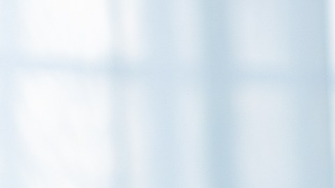 Impuesto a la soltería