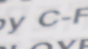 Impuestos a pagos del Seguro Social