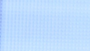 muerte James Van Der Beek