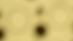 Donaciones para la familia de James Van Der Beek alcanzan cifra récord en un día