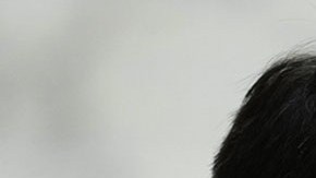 Josh Hawley, senador por Misuri