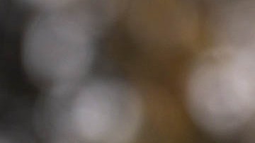 Kamala Harris, exvicepresidenta estadounidense